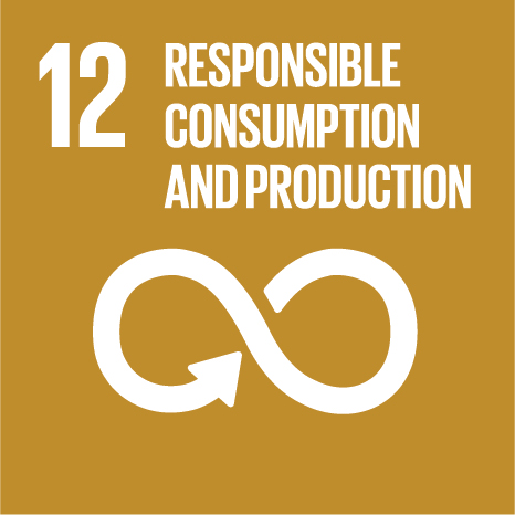 SDG 12 Responsible Consumption